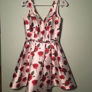 Rose Print V-Neck A-Line Sleeveless Short Dress